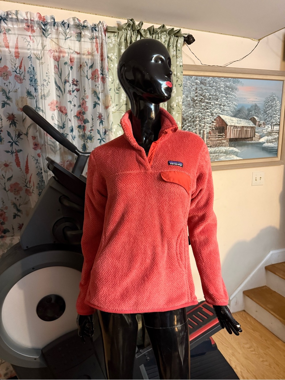 Patagonia Coral Snap-T Teddy Fleece Jacket